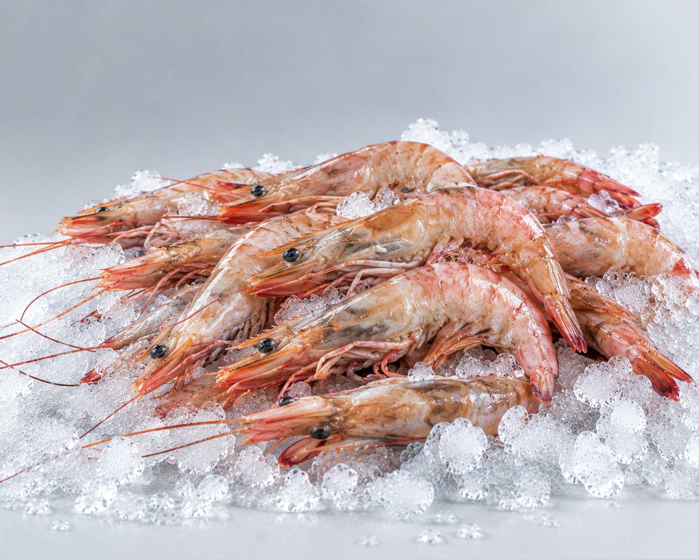 Langostinos congelados sobre hielo picado